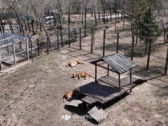 -青藏高原野生动物园
