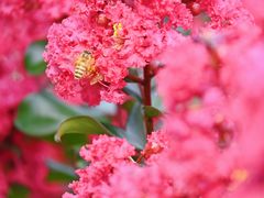 -杭州城北体育公园