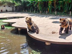 -贵州森林野生动物园