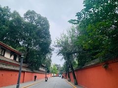 -洞子口张老二凉粉(文殊院店)