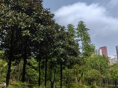 -重庆彩云湖湿地公园