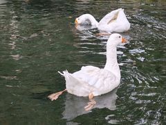 -水磨沟公园