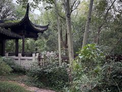 -上海佘山国家森林公园天马山园