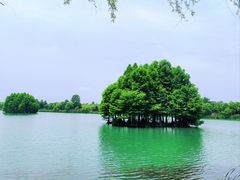 -尚湖风景区