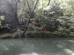 -三台山庄中餐厅