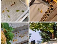 -Beans Solo豆号咖啡(百家湖花园店)
