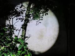 -拙政园