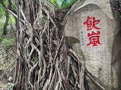 -乌山风景区