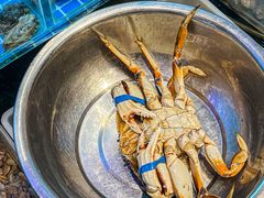 -涌觅名灶·本地海鲜宁波菜(财富广场店)