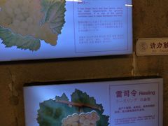 -青岛葡萄酒博物馆