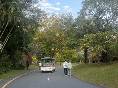 -深圳国际园林花卉博览园