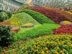 -昆明花之城豪生酒店·美食广场