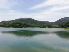 -佛手湖郊野公园