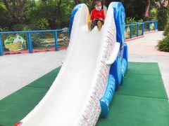 -广州长隆飞鸟乐园