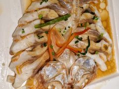 -九井澤精致料理(金茂店)
