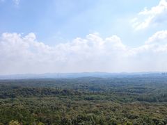 -紫金山索道-售票处