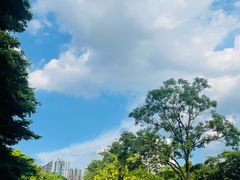 -晓港公园