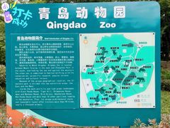 -青岛动物园