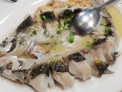 文庆鲤-东胜客河鲜店·西江河鲜·老字號渔家菜