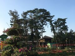 -松山湖梦幻百花洲