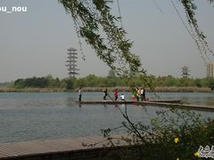 -暨阳湖生态园
