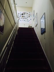 苗方清颜专业祛痘连锁机构(龙泽店)-苗方清颜专业祛痘