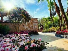 -厦门日月谷温泉渡假村