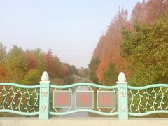 -上海长兴岛郊野公园