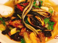 -孙家面馆(淮海第一城店)