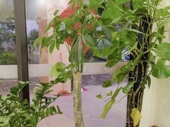 -张钰强中医正骨推拿连锁(唐家人才公寓店)
