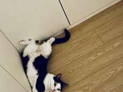 -中影国际影城(西溪印象城CINITYLED店)