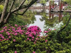 -上海醉白池公园