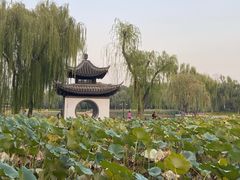 -嘉年华面包房餐厅（饺子馆）(陶然亭店)
