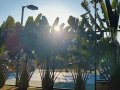 -三亚海棠湾万丽度假酒店