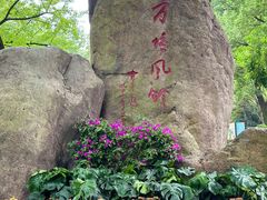 -上海方塔园