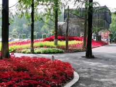 -东平国家森林公园