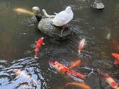 -北园酒家(小北路店)