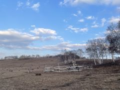 -塞罕坝国家级自然保护区