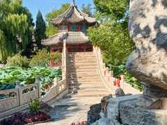 -莲池书院博物馆