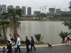 -枫香湖儿童公园