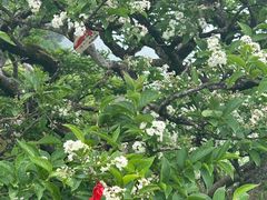 -萍乡武功山风景名胜区