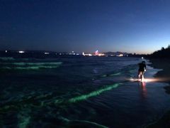 -三亚海棠湾万丽度假酒店