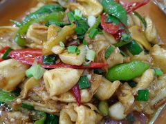 -全乐鱼馆·淳牌有机鱼直营店