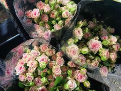 -循礼门鲜花花市(武汉循礼门店)