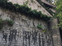 -金莲花广场