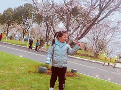 -羊山湖公园