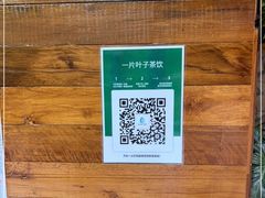 -白茶原·一片叶子