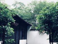 -法云安缦酒店