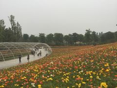 -秀丽东方