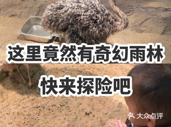 这里竟然有奇幻雨林 快来探险吧